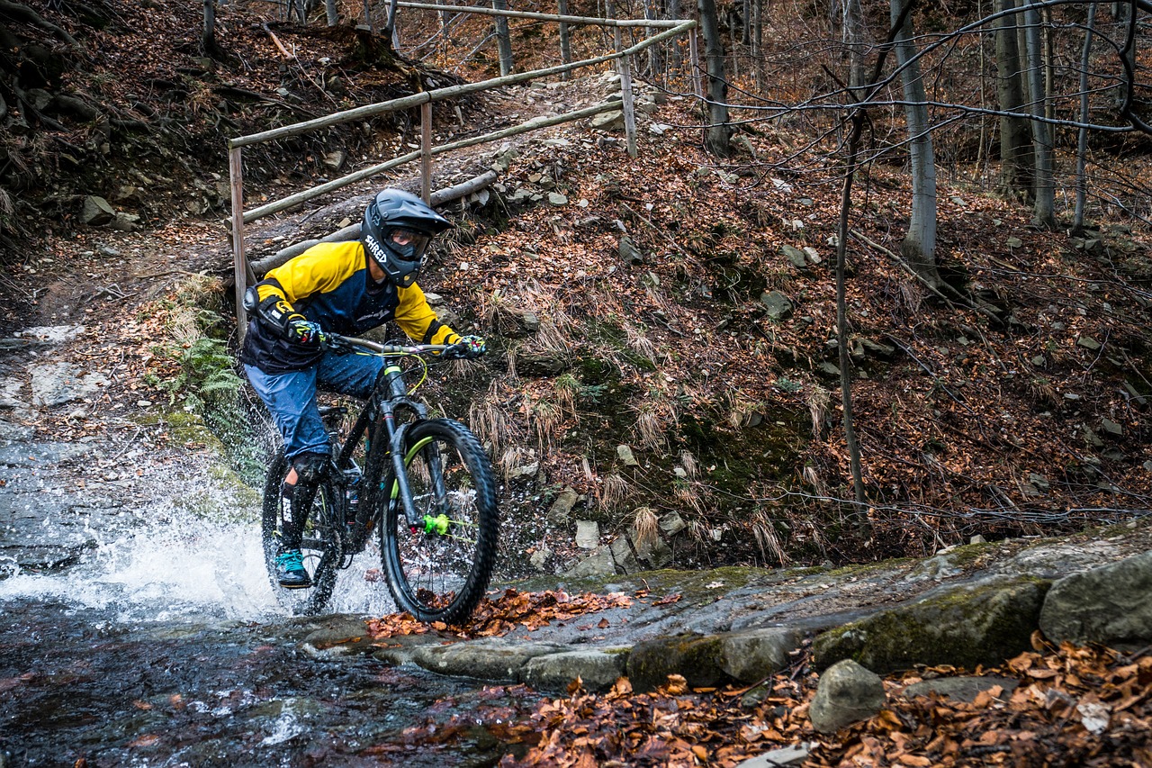 sites VTT FFC